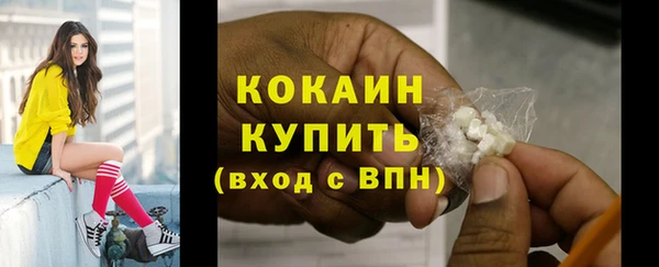 ECSTASY Покачи