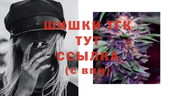 ECSTASY Покачи