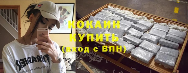 ECSTASY Покачи