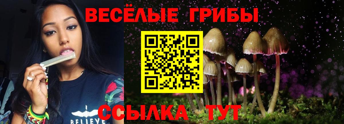 Галлюциногенные грибы мицелий Костомукша