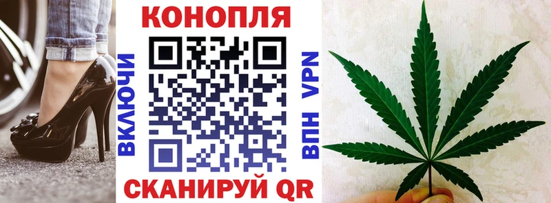 shop официальный сайт  Костомукша  kraken ССЫЛКА  Бошки Шишки White Widow  магазин  наркотиков 