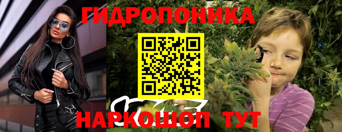 Конопля LSD WEED Костомукша